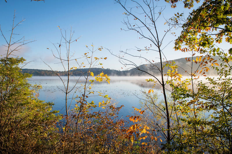 Results for Sri Chinmoy Half-Marathon at Rockland Lake State Park
